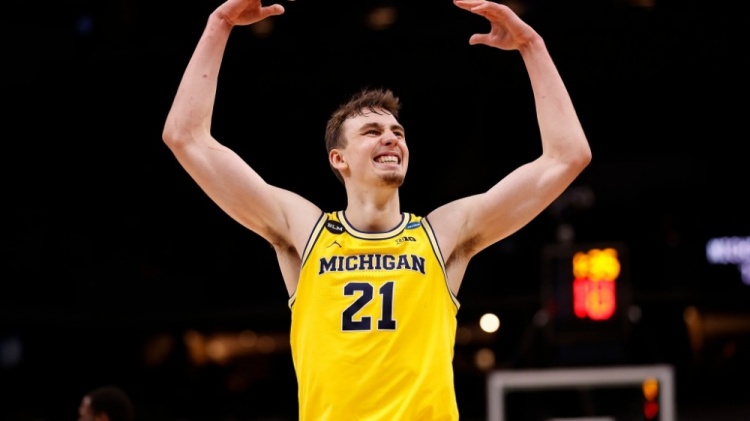 高芙凭借顽 高芙凭借顽