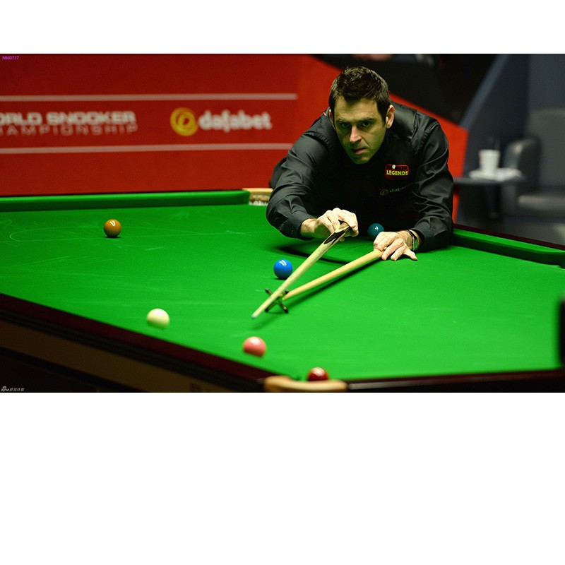 加之他们 加之他们