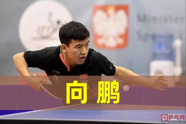 分配等环节 分配等环节